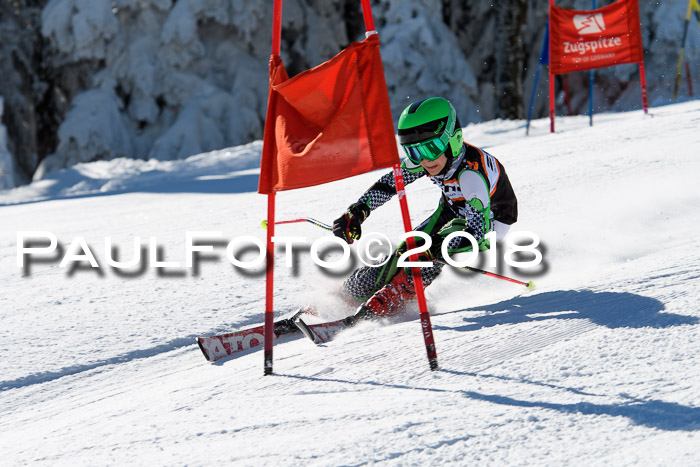 Ziener Cup WF, Finale, Quali + Parallelslalom, 24.03.2018