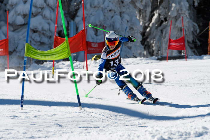 Ziener Cup WF, Finale, Quali + Parallelslalom, 24.03.2018