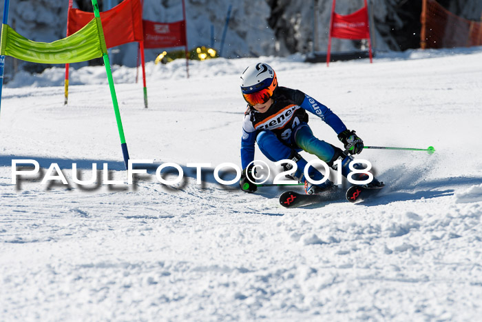 Ziener Cup WF, Finale, Quali + Parallelslalom, 24.03.2018