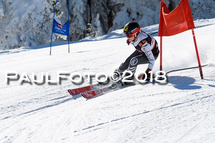 Ziener Cup WF, Finale, Quali + Parallelslalom, 24.03.2018