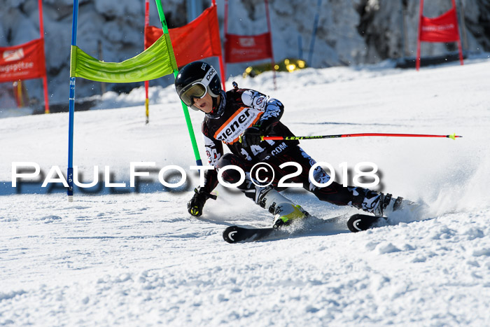 Ziener Cup WF, Finale, Quali + Parallelslalom, 24.03.2018