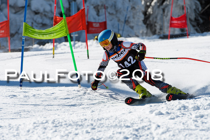 Ziener Cup WF, Finale, Quali + Parallelslalom, 24.03.2018