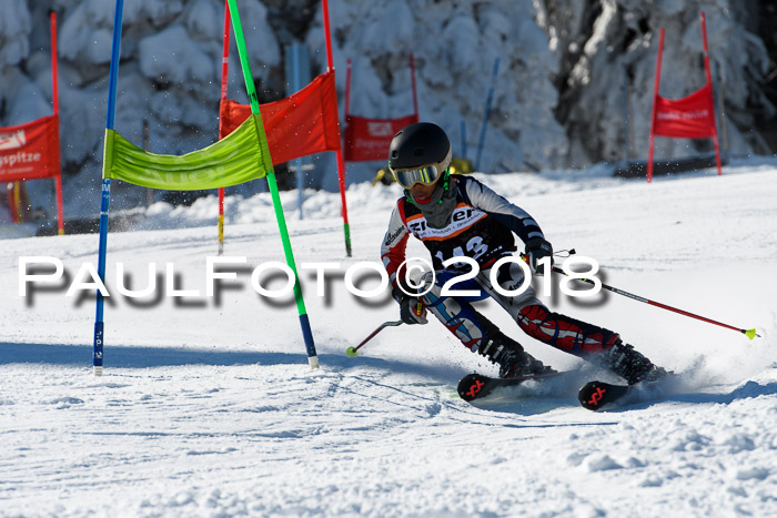 Ziener Cup WF, Finale, Quali + Parallelslalom, 24.03.2018