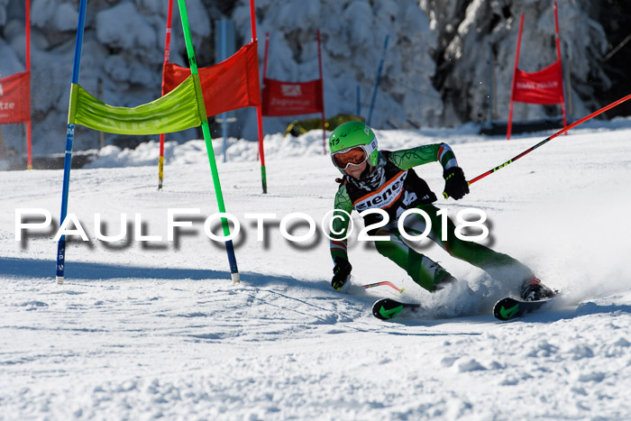 Ziener Cup WF, Finale, Quali + Parallelslalom, 24.03.2018