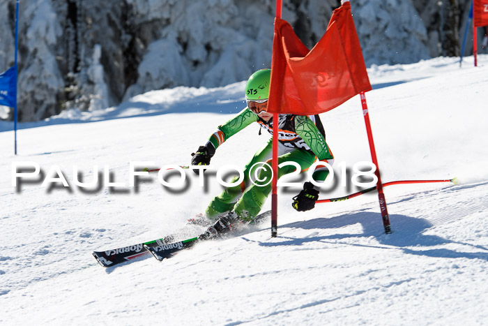 Ziener Cup WF, Finale, Quali + Parallelslalom, 24.03.2018