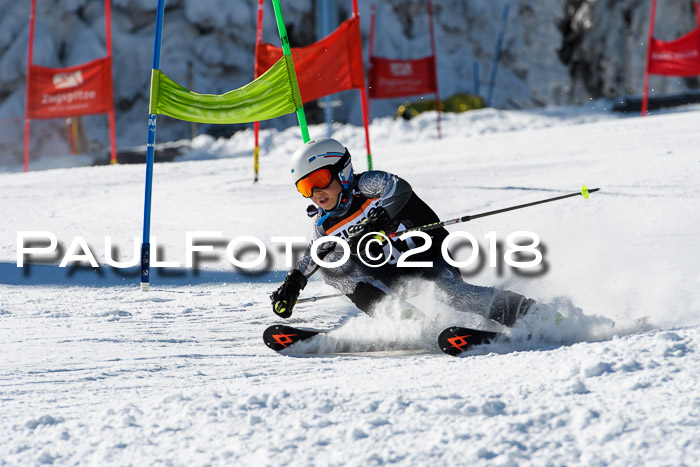 Ziener Cup WF, Finale, Quali + Parallelslalom, 24.03.2018