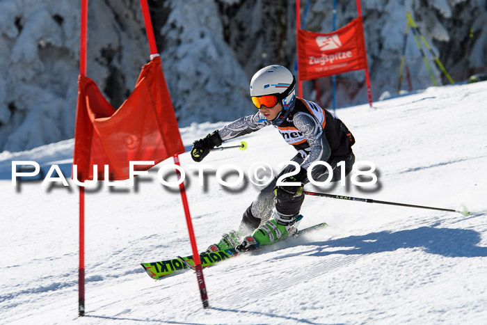 Ziener Cup WF, Finale, Quali + Parallelslalom, 24.03.2018