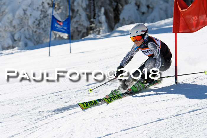 Ziener Cup WF, Finale, Quali + Parallelslalom, 24.03.2018