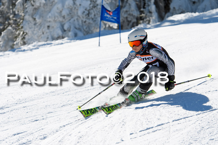 Ziener Cup WF, Finale, Quali + Parallelslalom, 24.03.2018