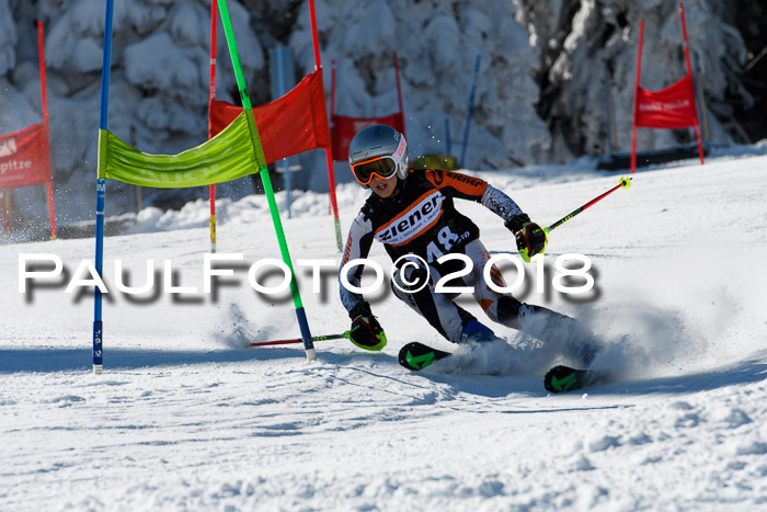 Ziener Cup WF, Finale, Quali + Parallelslalom, 24.03.2018