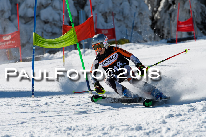 Ziener Cup WF, Finale, Quali + Parallelslalom, 24.03.2018