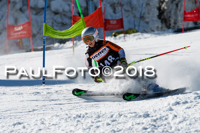 Ziener Cup WF, Finale, Quali + Parallelslalom, 24.03.2018