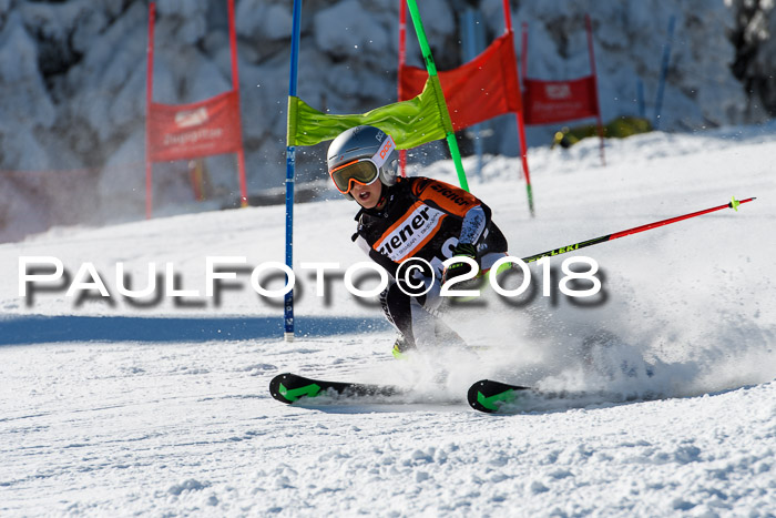 Ziener Cup WF, Finale, Quali + Parallelslalom, 24.03.2018