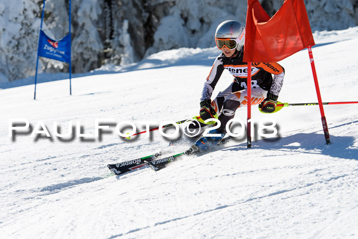 Ziener Cup WF, Finale, Quali + Parallelslalom, 24.03.2018