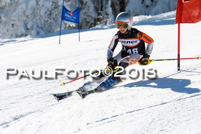 Ziener Cup WF, Finale, Quali + Parallelslalom, 24.03.2018