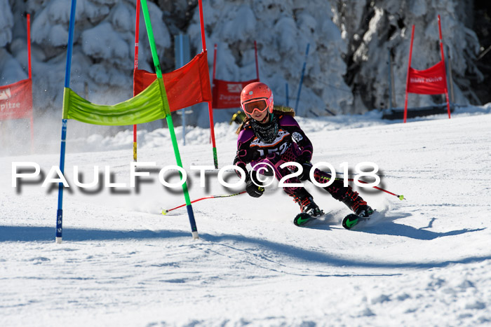 Ziener Cup WF, Finale, Quali + Parallelslalom, 24.03.2018