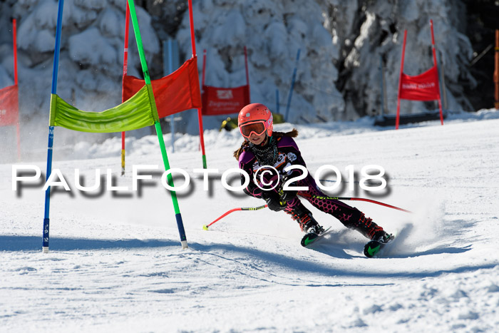 Ziener Cup WF, Finale, Quali + Parallelslalom, 24.03.2018