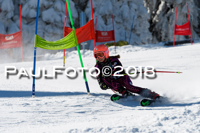 Ziener Cup WF, Finale, Quali + Parallelslalom, 24.03.2018