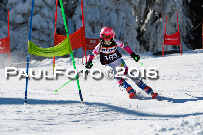 Ziener Cup WF, Finale, Quali + Parallelslalom, 24.03.2018