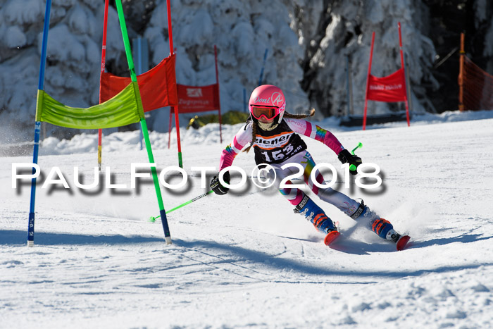 Ziener Cup WF, Finale, Quali + Parallelslalom, 24.03.2018