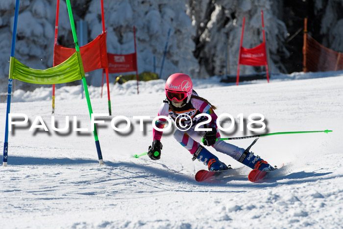 Ziener Cup WF, Finale, Quali + Parallelslalom, 24.03.2018