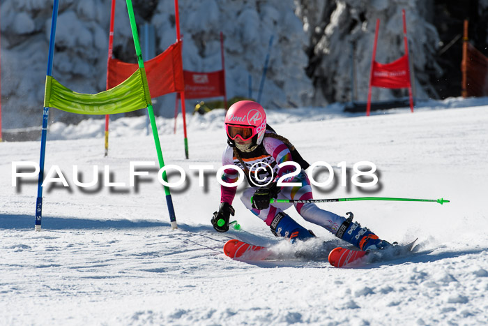 Ziener Cup WF, Finale, Quali + Parallelslalom, 24.03.2018