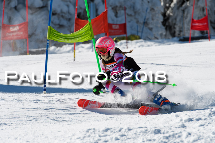 Ziener Cup WF, Finale, Quali + Parallelslalom, 24.03.2018