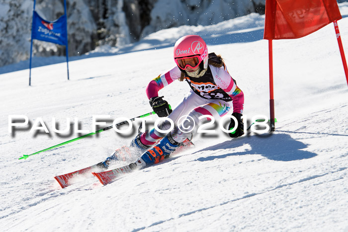 Ziener Cup WF, Finale, Quali + Parallelslalom, 24.03.2018