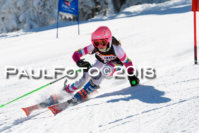 Ziener Cup WF, Finale, Quali + Parallelslalom, 24.03.2018