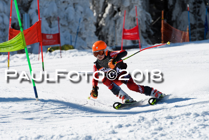 Ziener Cup WF, Finale, Quali + Parallelslalom, 24.03.2018