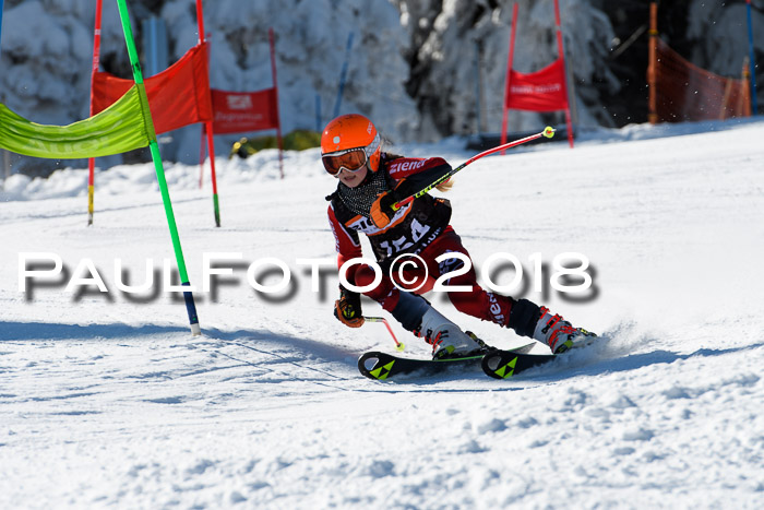 Ziener Cup WF, Finale, Quali + Parallelslalom, 24.03.2018