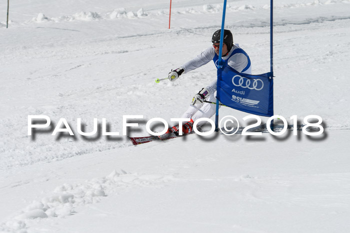 Ski Golf Masters 2018, Riesenslalom