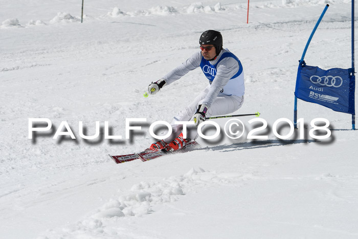 Ski Golf Masters 2018, Riesenslalom