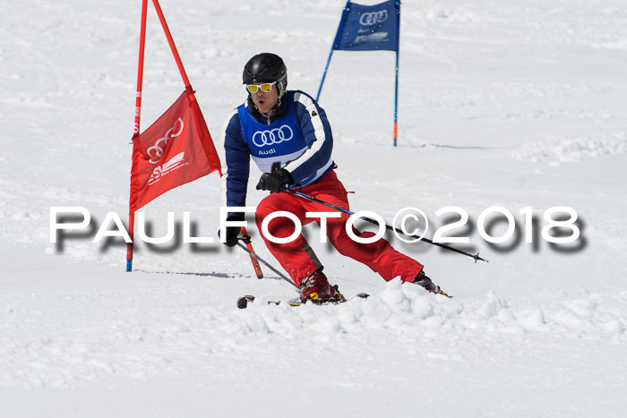 Ski Golf Masters 2018, Riesenslalom