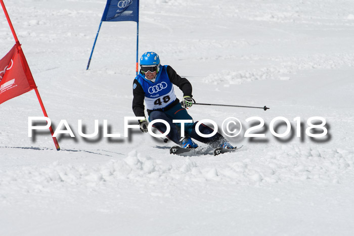 Ski Golf Masters 2018, Riesenslalom