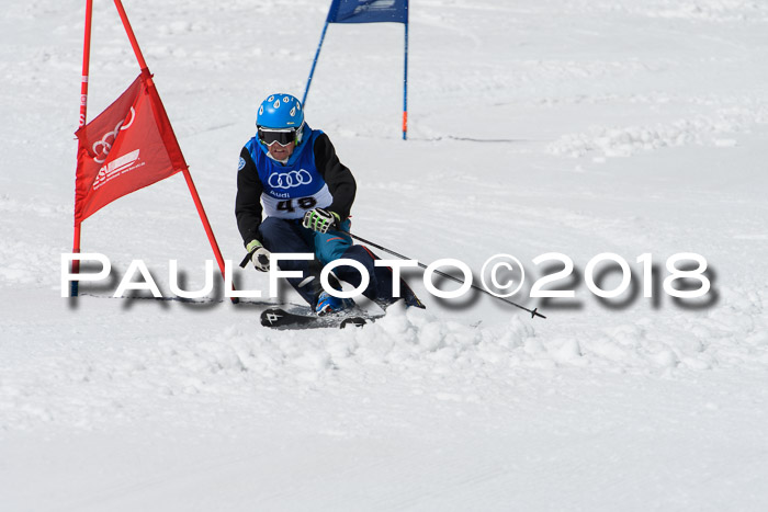 Ski Golf Masters 2018, Riesenslalom