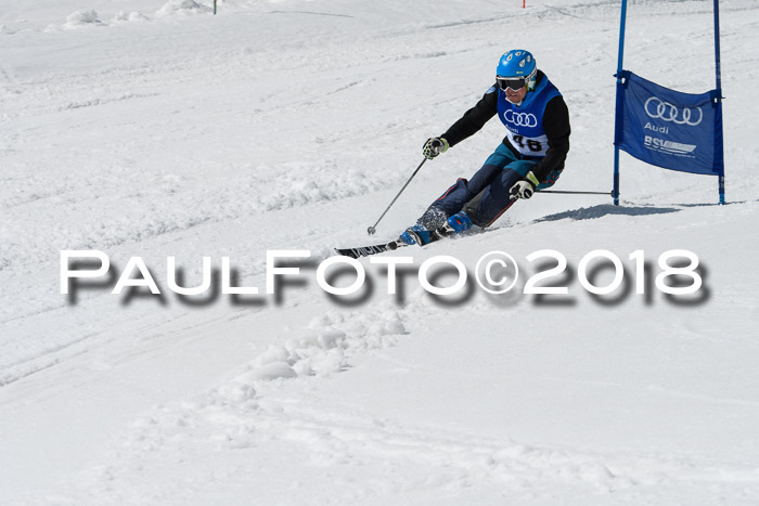 Ski Golf Masters 2018, Riesenslalom