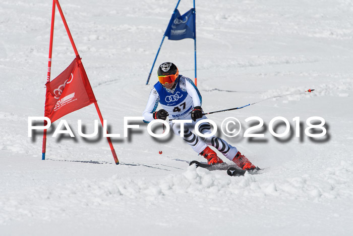 Ski Golf Masters 2018, Riesenslalom