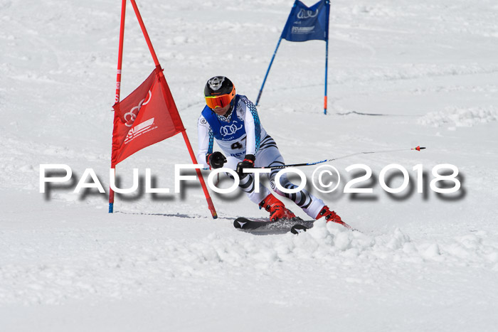 Ski Golf Masters 2018, Riesenslalom