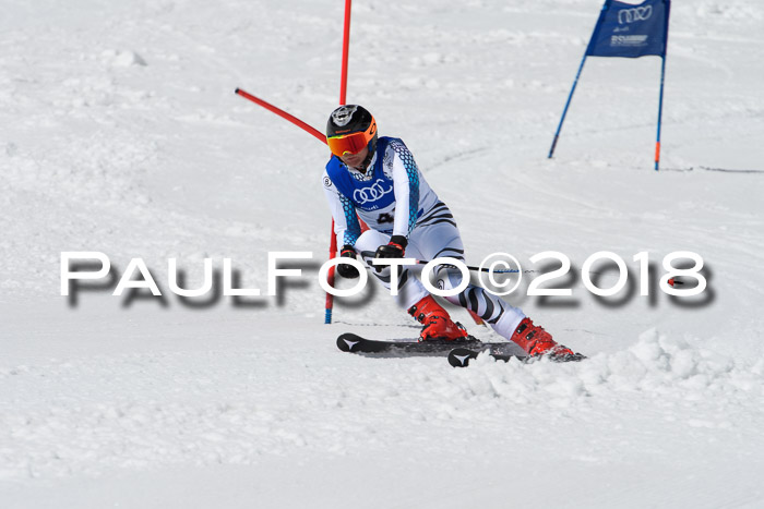 Ski Golf Masters 2018, Riesenslalom