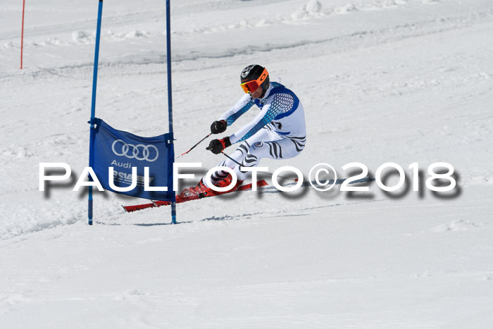 Ski Golf Masters 2018, Riesenslalom