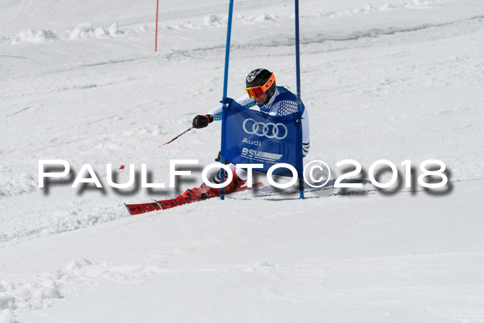 Ski Golf Masters 2018, Riesenslalom