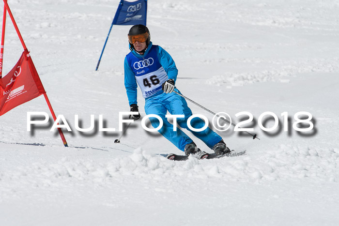 Ski Golf Masters 2018, Riesenslalom