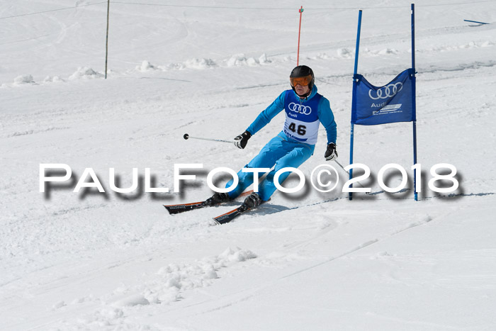 Ski Golf Masters 2018, Riesenslalom