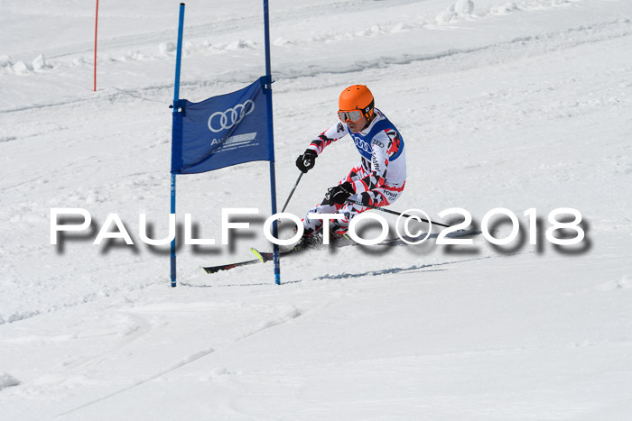 Ski Golf Masters 2018, Riesenslalom