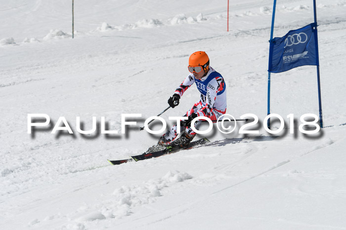 Ski Golf Masters 2018, Riesenslalom