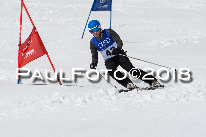 Ski Golf Masters 2018, Riesenslalom