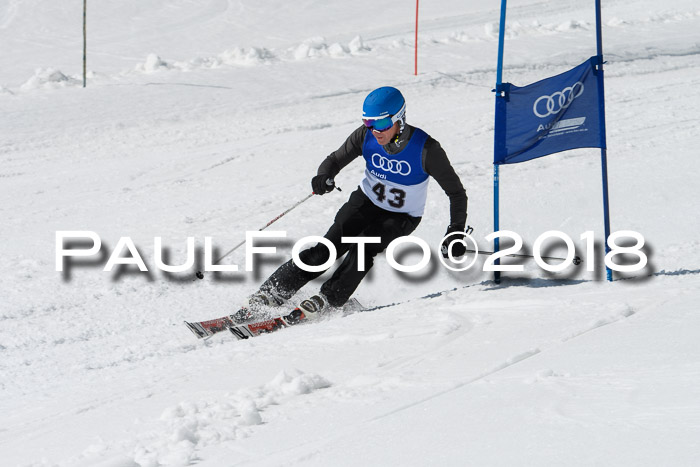 Ski Golf Masters 2018, Riesenslalom