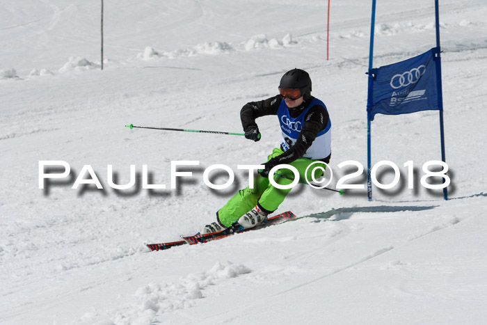 Ski Golf Masters 2018, Riesenslalom