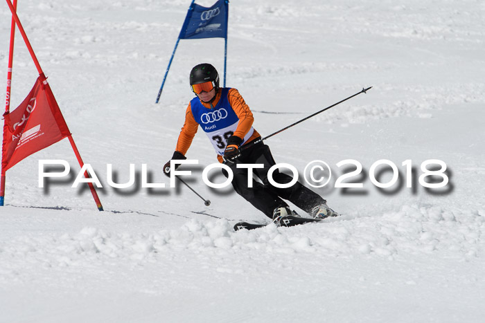 Ski Golf Masters 2018, Riesenslalom